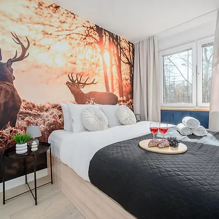 Lumina I 2-rooms Near Museum Of Fryderyk Chopin I Ac Apartmán *